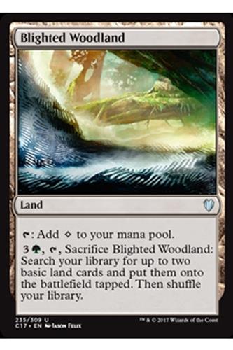 Blighted Woodland