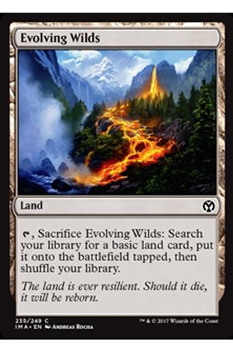 Evolving Wilds