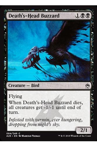 Death's-Head Buzzard