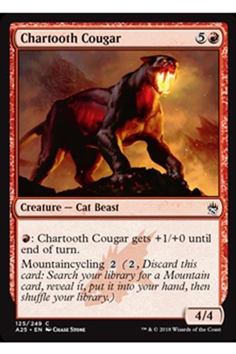 Chartooth Cougar