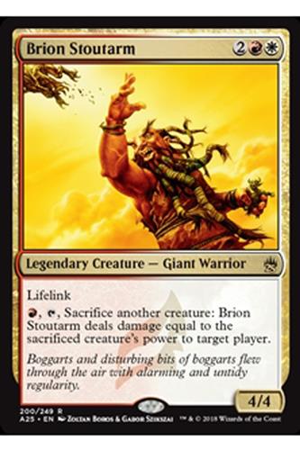 Brion Stoutarm