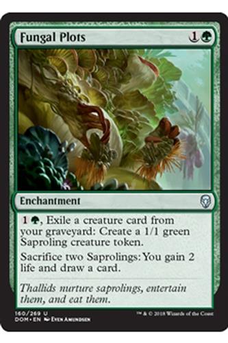 Fungal Plots