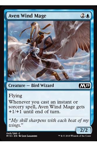 Aven Wind Mage