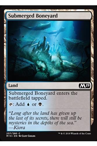 Submerged Boneyard