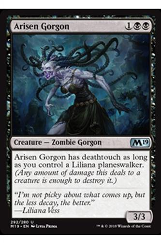 Arisen Gorgon