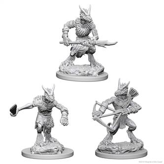 Nolzur's Marvelous Unpainted Miniatures