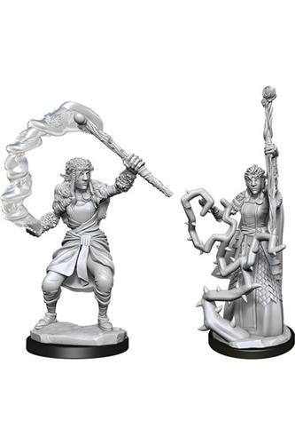Nolzur's Marvelous Unpainted Miniatures