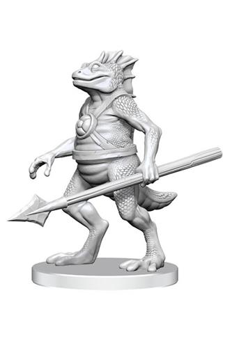 Nolzur's Marvelous Unpainted Miniatures