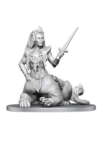 Nolzur's Marvelous Unpainted Miniatures