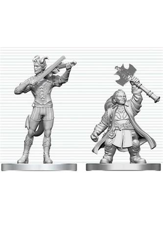 Nolzur's Marvelous Unpainted Miniatures