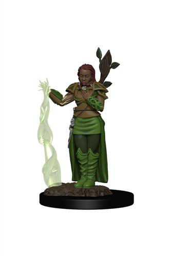 D&D Premium Figure: Human Female Druid (Set 2)