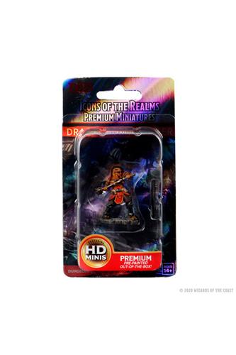 D&D Premium Figure: Dragonborn Male Fighter (Set 3)