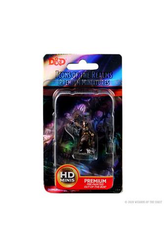 D&D Premium Figure: Elf Female Cleric (Set 3)