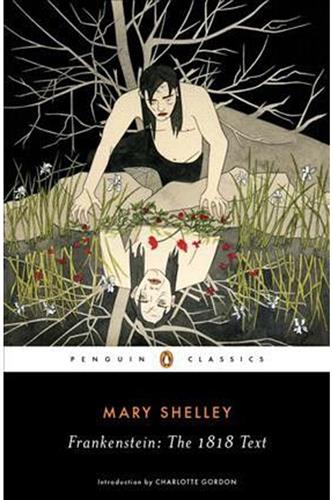 Frankenstein - The 1818 Text (Paperback)