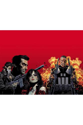 Marvel Knights: Punisher