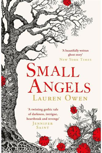Small Angels (Paperback)