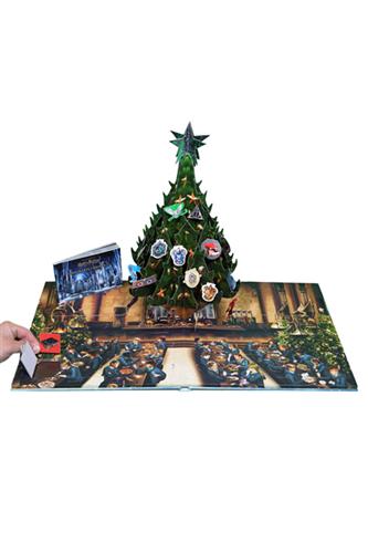 Harry Potter - Jul på Hogwarts, Julekalender pop-op julekalender, 12 x18 cm. | Faraos Webshop