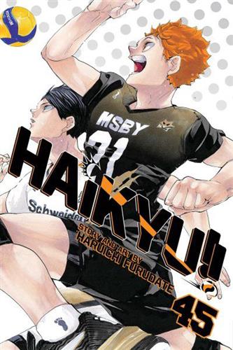 Haikyu vol. 45