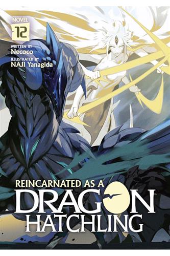 Reincarnated as a Dragon Hatchling Ln vol. 12
