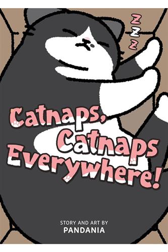 Catnaps, Catnaps Everywhere!