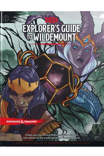 Explorer's Guide to Wildemount