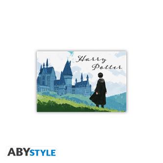 Harry Potter - Harry & Hogwarts, Magnet