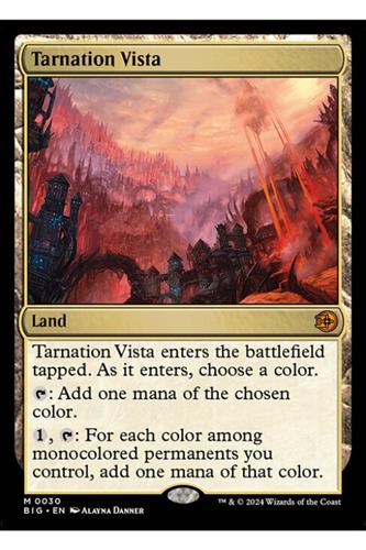 Tarnation Vista