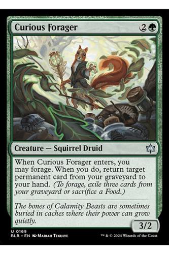 Curious Forager