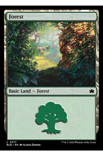 Forest