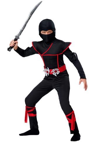 Ninja Kriger