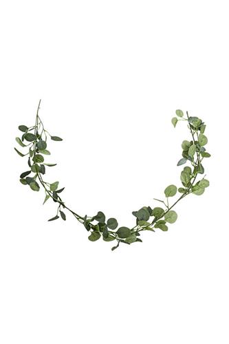 Eucalyptus Guirlande