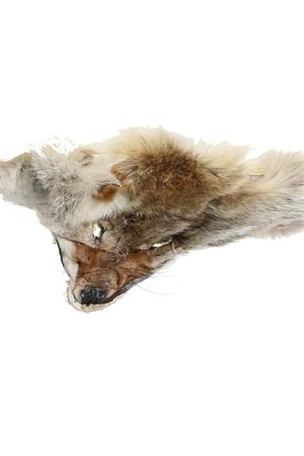 Coyotehoved (ca. 25x25 cm)