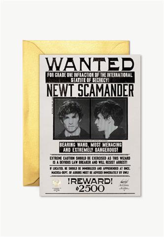 Fantastic Beasts - Newt Scamander, Postkort