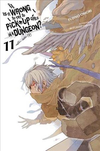 Is It Wrong to Pick Up Girls in a Dungeon? Ln vol. 11
