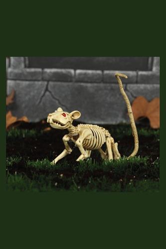 Rotteskelet