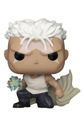 Fullmetal Alchemist - Pop! - Scar