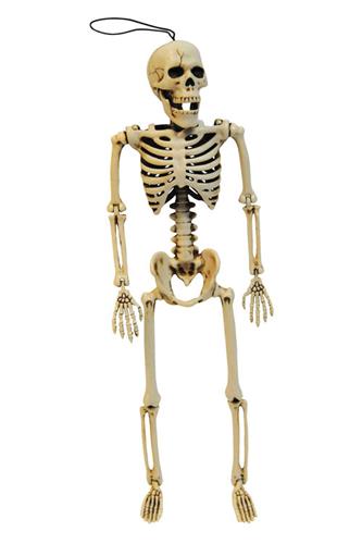 Poserbart Skelet