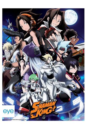 Shaman King - Shaman Fight Plakat 52x38cm
