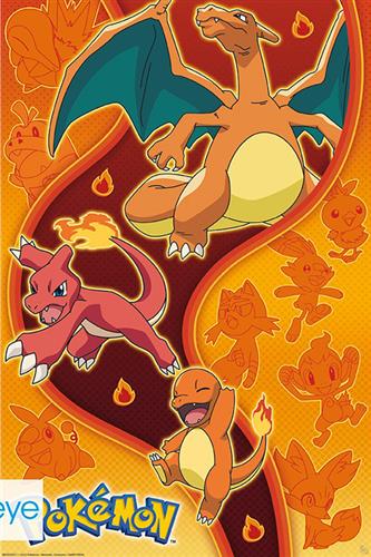 Pokemon - Fire Type Plakat 91,5x61cm