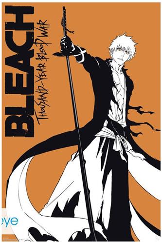 Bleach - Ichigo Plakat 91,5x61cm