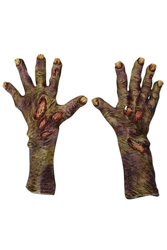 Zombie Rotten Flesh
