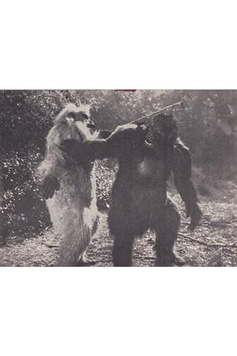 Gorillaen Hævner - 1946 (The White Gorilla)
