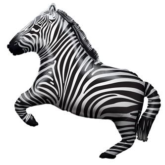 Folie Ballon, Zebra