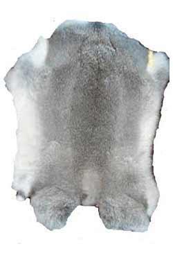 Kaninskind (ca. 30x20 cm)