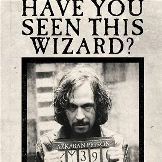 Harry Potter - Have You Seen This Wizard?