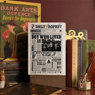 Harry Potter - Boy Who Lived, Postkort