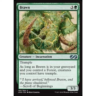 Brawn