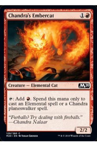 Chandra's Embercat
