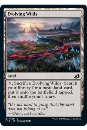 Evolving Wilds