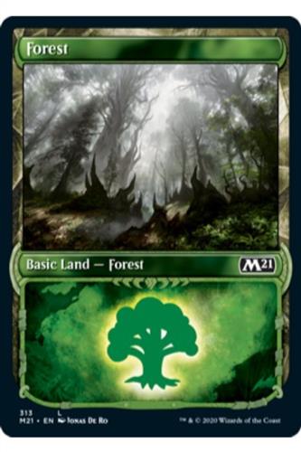 Forest (Special Frame)